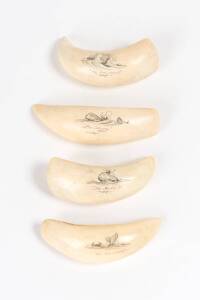 Set of 4 scrimshaw whale's teeth by Gary Tonkin ♦