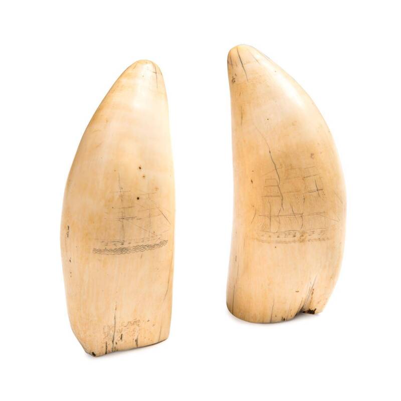 A pair of impressive scrimshaw whale's teeth ♦