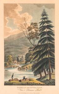 LYCETT, Joseph: "Scene up the River Huon, Van Diemens Land" being plate 37 in "Views in Australia or New South Wales and Van Diemen’s Land", published by John Souter, London, 1824–25. Hand-coloured aquatint and etching; image 27 x 17cm.