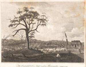 J. Heath (Engraver), After Thomas WatlingThe Brickfield Hill or High Road to Parramatta, 1796