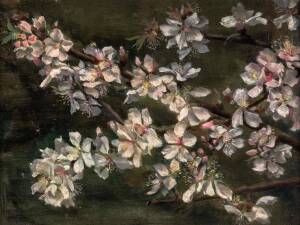 A.M.E. BALE (attributed) Apple Blossoms oil on board