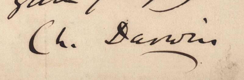 CHARLES DARWIN (1809-82): Jan.23rd [1861?] ALS from Down, Bromley, Kent with thanks for memoir "on the most interesting scientific point which has occurred for many years". [Darwin Correspondence Project Letter No.13873].