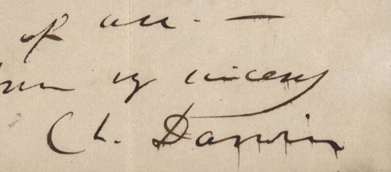 CHARLES DARWIN (1809-82): [22nd July 1864] ALS from Down, Bromley, Kent to Daniel Oliver asking  "perhaps you will observe this one point - whether a leaf with a pitcher has ever fairly and closely wound round a stick or support". [Darwin Correspondence P