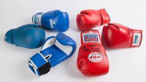 SIGNED BOXING GLOVES, noted Barry Michael, Charkey Ramon, Andrew Maloney, Fred Casey & Gary Ford.