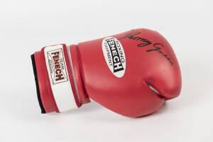 DANNY GREEN, signature on "Fenech" boxing glove.