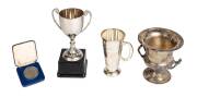GREG WILLIAMS TROPHIES: Collection of 50 trophies, from schoolboy trophies for cricket (4), gynnastics (4) & football (2), through to trophies won during his playing career, including Sydney Swans (9) including Best & Fairest Runner-Up for 1986, 1987, 198
