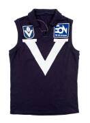 GREG WILLIAMS' VICTORIA "BIG V" JUMPER, Eon FM logo, number "12", 1987 v Western Australia.