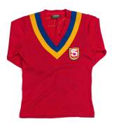 SOUTH AUSTRALIA JUMPER, number "27", swapped by Greg Williams for his Victorian "Big V" jumper.