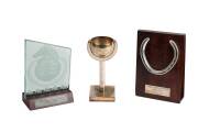 MANIKATO: Group including 1978-79 Australia's Race Horse of the Year trophy; trainer's trophies for 1978 Marlboro Cup & 1979 Rothmans Hundred Thousand Doomben (silver cigarette box); 'The Legends' trophy; saddlecloth; framed photographs (3), teaspoon. Ex - 4