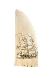 A scrimshaw whale's tooth with tallship, 19th century