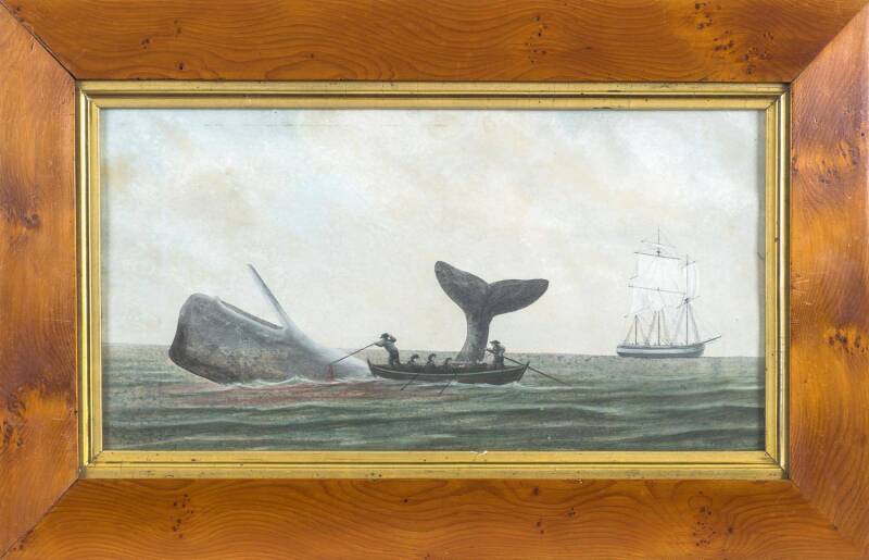 S.R. ROATH(?) Whaling scene in huon pine frame