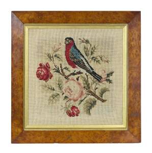 A wool work tapestry of a parrot, Australian, 19th century, in fine huon pine frame