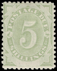1902 (SG.D8) 5/- Emerald-Green, with variety "White scratch through oval to lower part of 5"; fresh MLH. A scarce example in this condition. BW:D15d.