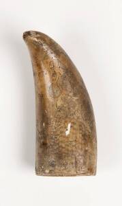 A scrimshaw whale's tooth with female portrait