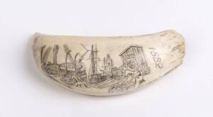 A scrimshaw whale's tooth titled "Tigress" 