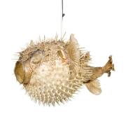 A Pufferfish hanging light, mid 20th century