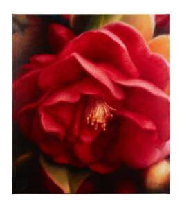 CHRISTINE JOHNSON (BORN 1958)Lucinda &nbsp;2008oil on canvassigned, titled and dated verso: Christine Johnson Lucinda 200880 x 70 cm
