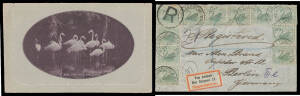 BIRDS: Australian group including 1928 Kookaburra M/S x2 (**, & with Exhibition cds in red), Letter Cards Fullface 1d & Sideface 1½d both with view "ZOO ADELAIDE" (flamingoes), BCOF set *; NSW stamps & Postal Stationery including unused 1d Fleet Card; Sou