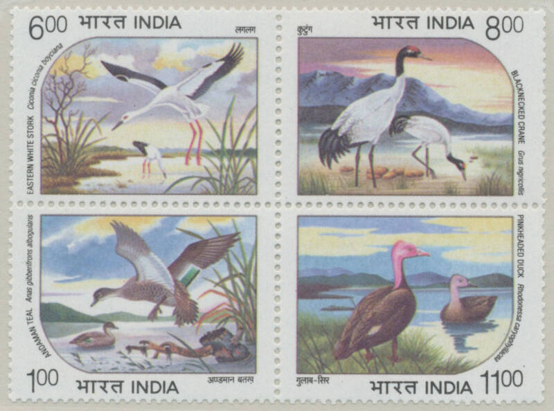 BIRDS: India 1994 Water Birds setenant block of 4 SG 1603a, unmounted; and a similar block on 1995 registered airmail cover to Singapore, repaired tear at upper-left well clear of the stamps. (4 + cover)