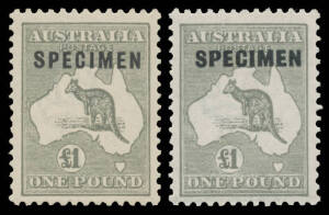 &pound;1 grey 'SPECIMEN' Overprints Type C & D, unmounted, Cat $1225.