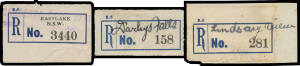 REGISTRATION LABELS: c.1930s mounted collection of blue & black/white types noted as Types C1 to C5 including Rat Tail Varieties, numerous provisionals with handstamps or manuscript office names, hundreds of tiny offices many of which are long-closed, plu