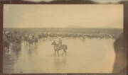 PHOTOGRAPHS: BOER WAR, photographic record taken by T. D. Wanliss, most with annotations and identification of personnel, noted 'Discharging Horses at Beira', 'After the funeral of Lt. Gilpin & Pte. Woodman at Ottoshoop', 'Burning Boer farm between Zeerus - 11