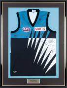 FRAMED ITEMS, noted beautiful large colour photograph of fireworks over MCG, size 153x102cm; Port Adelaide football jumper signed by team for 2000 Season; signed & endorsed Johnny Famechon poster; Todd McFarlane (Canadian cartoonist) nice signature on Spa - 2