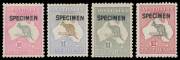 Kangaroos - 3rd Wmk - SPECIMEN OVERPRINTS: 10/-, &Acirc;&pound;1 brown & blue (aged & regummed), &Acirc;&pound;1 grey (very lightly mounted) & &Acirc;&pound;2 (lightly mounted) all with Type B overprint, variable centring, Cat $6600. Rarely available as a set. Ex Neil Russell.