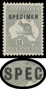 Kangaroos - 3rd Wmk - - Â£1 grey Type C with Shaved 'P' BW #53xe, well centred, unmounted, Cat $1000+ (mounted; unpriced unmounted). Ex Neil Russell. [Aubrey Pitt's similar example sold at the Prestige auction of 19.11.2011 for $1207]