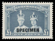 Other Pre-Decimals - 1938-49 Robes Thick Paper £1 dull blue with 'SPECIMEN' Overprint BW #216x, excellent centring, unmounted, Cat $1500. Advertised retail "POR". Chris Ceremuga Certificate (2005) states "...Ash Printing with blue-black overprint".