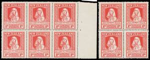 New Zealand - 1929-33 Health Charities duplicated group comprising 1929 Nurse block of 6, 1930 Nurse blocks of 4 x2, 1932 Hygeia blocks of 4 x2 in different shades (the pale shade with upper units mounted) & 1933 Path to Health block of 6 & L/L corner blo