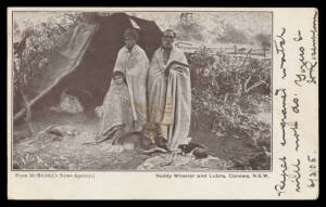 UNDIVIDED BACKS: McNicholl's News Agency "Neddy Wheeler and Lubra, Corowa, NSW"; Robert Jolley "Queen of Her Tribe" (knocked-about); WTP & Co "Australian Uncle Tom's Cabin" (two versions, one unused), Austral Stores (WA) "SW Aboriginals WA" (used in WA), 