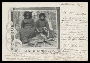 Aborigine Postcards - UNDIVIDED BACKS: Star Photo Co three different portraits of NSW natives, one underpaid to France in 1903 with French Postage Due, another with the stamp removed & the last unused. Very scarce. (3)