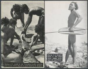 Aborigine Postcards - REAL PHOTO CARDS: c.1950 Temperly Industries B&W group including Bark Painting, Corroboree, Young Girl with Mangrove Crab, Group Skinning a Crocodile, Hunter Returning with Wallaby, "One Pound Jimmy" (featured on 8&frac12;d & 2/6d stamps), 