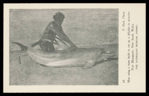 Aborigine Postcards - NEW SOUTH WALES: Australian Museum "Australian Aboriginal Studies Series D1-6" photos by T Dick of Port Macquarie natives, unused; plus the original packet (minor faults). (6 + packet)