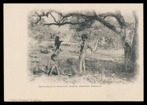 Aborigine Postcards - NORTHERN TERRITORY: J Taylor (Adelaide) "Aborigines of Musgrave Ranges Centeral [sic] Australia" & "Aboriginals Surprised by a Camel Team Central Australia" (both unused); Buscall (Darwin) real photo "Bark Canoe..." (4 men & a dog), 