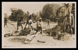 Aborigine Postcards - NORTHERN TERRITORY: Ryko Photo (Darwin) real photo cards inscribed on the negatives "Catfish caught by spearing Marrakai NT" (an impressive haul), "Pigs & natives gathering red lily roots Daly River NT", "Cooper's boys among tamed b