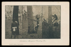 Aborigine Postcards - QUEENSLAND: Various publishers with six of tree-climbing including a multi-view, inset in floral borders x3, "picture-frame" borders x6, H King "A Tribal Medicine Man", etc, mostly fine to very fine used or unused. (17)