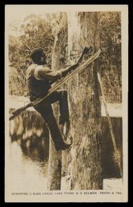 Aborigine Postcards - VICTORIA: Lake Tyers (Gippsland) real photo card by HD Bulmer (Bairnsdale) of Aborigine with tomahawk climbing tree inscribed 'Stripping A Bark Canoe', used under cover, couple of minor blemishes.