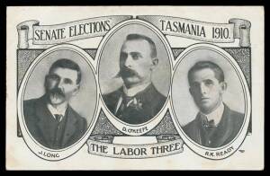 Tasmania - 1906 Walch & Sons "Tasmania's Flora" with 'Vote for Nicholls and the Progress of Beautiful Tasmania' printed on the address side, used [Herbert Nicholls was later Chief Justice of Tasmania]; "Victory" & Lord Nelson inscribed "And Vote Not More 