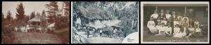 Victoria - DANDENONG RANGES: Extensive collection from Croydon to Mount Dandenong including Kilsyth, Mount Evelyn, Montrose, Lilydale, Olinda, Sassafras, Monbulk & The Patch, etc, the majority are early Rose cards of lush foliage but there are also many o