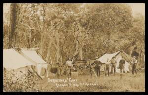 Western Australia - ALBANY: Excellent group with many better subjects including several "A Ramble Around Albany" types, "Freemasons' Hotel", "Tea Gardens", "CH Newman/Produce Merchant" etc, real photos including two of flooded streets, 1908 "American Flee