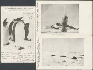 Antarctica - NEW ZEALAND: 1904 Canterbury Times Series One (text on address side printed in blue) "A Weddell Seal Rookery..." (unused), "Emperor penguins" (used) & "Gun Cotton Explosion" (unused). (3)