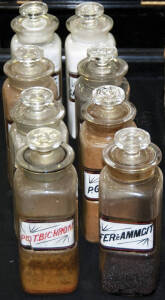 DISPENSING BOTTLES, with labels, 20cm tall, all in good condition, & all with stoppers.