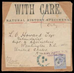 POSTAL HISTORY - 1899 large piece (120x120mm) from a parcel endorsed 'NATURAL HISTORY SPECIMENS' with complete address label, to a government entomologist in Washington DC with Astley 6d tied by 'MYRNIONG' cds in blue.