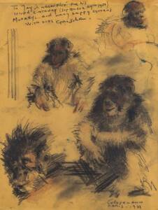 GRIGORY GLUCKMANN (1898-1973) Four Monkeys, 1931 charcoal and coloured pencil; signed, inscribed and dated lower right: Gluckmann / PARIS - 1931; 27 x 20.5 cm.