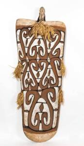 An Asmat Ceremonial Shield carved wood, shells, feathers, natural pigments and natural fibers; 181 cm high. Acquired at a tribal village, early 1990s.