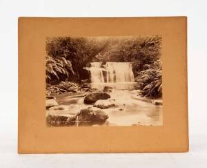 NEW ZEALAND: Burton Bros., Dunedin: "Nihotapu Fall - Waitakerie - Auckland" albumen paper print numbered 4304 in the plate; 15 x 20cm; laid down on card.