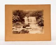 NEW ZEALAND: Burton Bros., Dunedin: "Nihotapu Fall - Waitakerie - Auckland" albumen paper print numbered 4304 in the plate; 15 x 20cm; laid down on card.