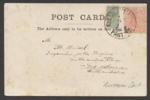 Postal History (Victoria) - 1901 PPC of Federal Parliament House Melbourne with ½d & 1d tied by Austrian 'KuK KRIEGSMARINE/PANTHER' cds, minor blewmishes. Rare & unusual usage.